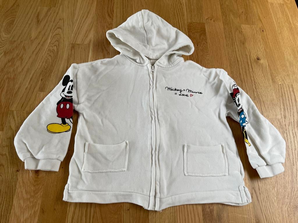 Sweat Mickey Zara t.104, Enfants & Bébés, Vêtements enfant | Taille 104, Utilisé, Zara, Fille, Pull ou Veste