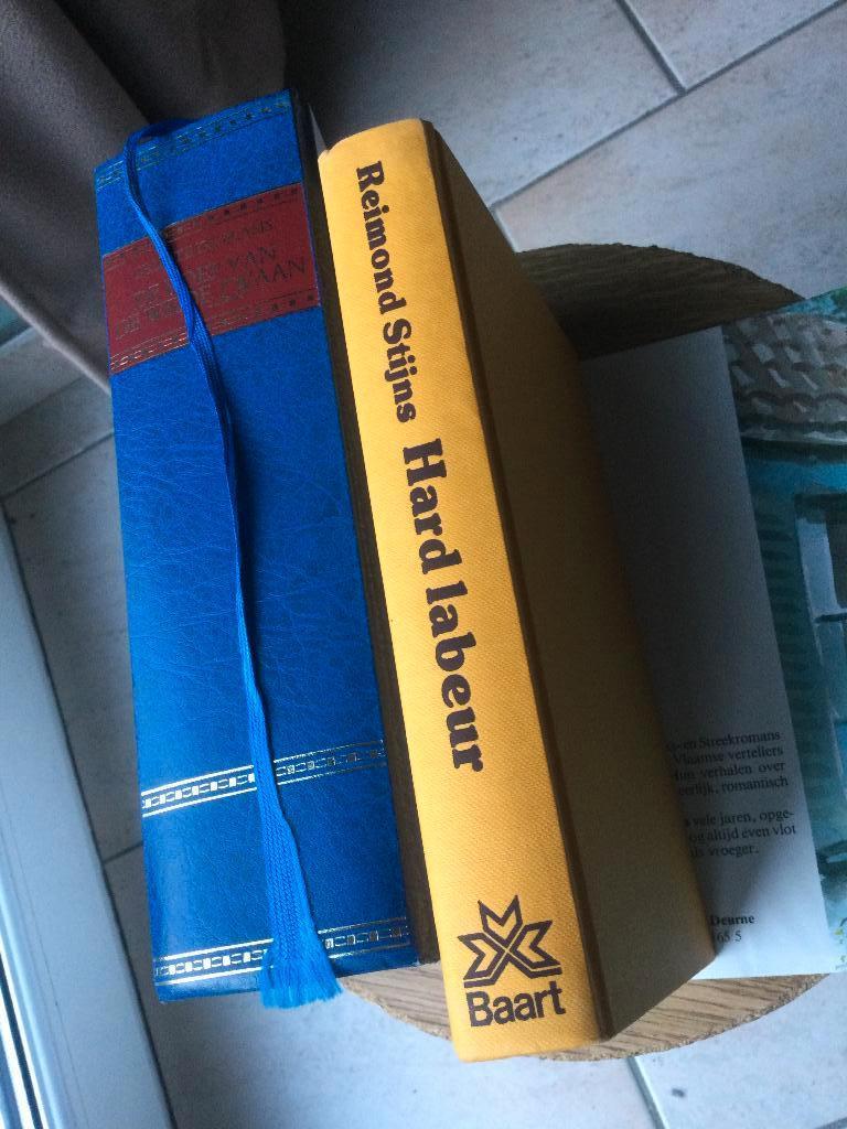 NEDERLANDS „WILDE ZWAAN” HARD WERKEN”, Antiek en Kunst, Ophalen of Verzenden, STIJNS/DE BLASIS