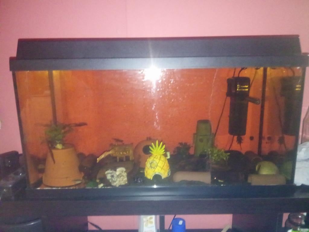 Aquarium 800, 400/350, Animaux & Accessoires, Poissons | Aquariums & Accessoires, Enlèvement
