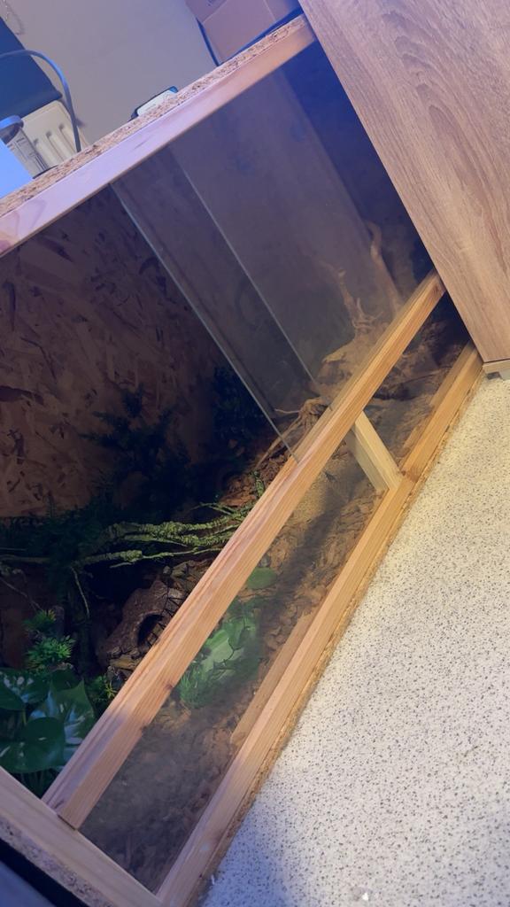 Terrarium, Dieren en Toebehoren, Ophalen, Gebruikt