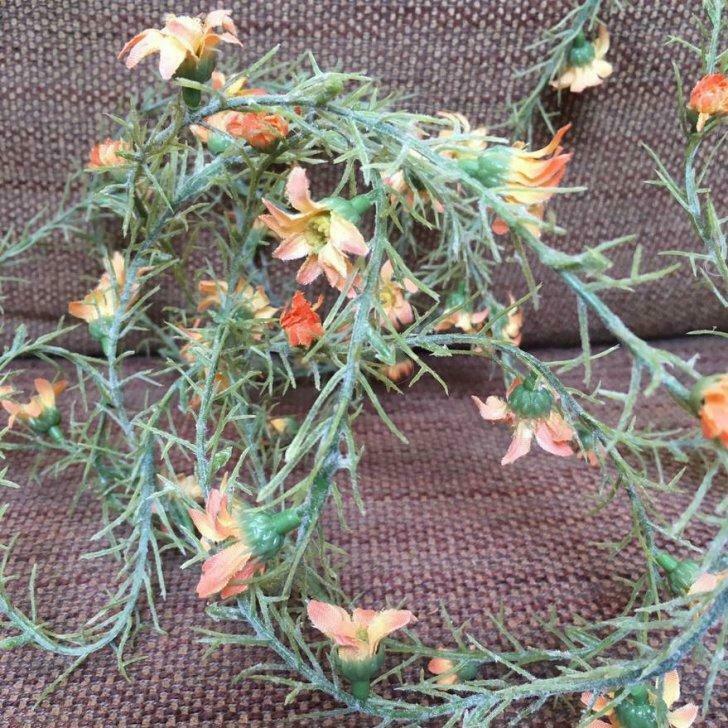 Bloemenslinger 3m -50%, 5.00€, Ophalen of Verzenden, Nieuw