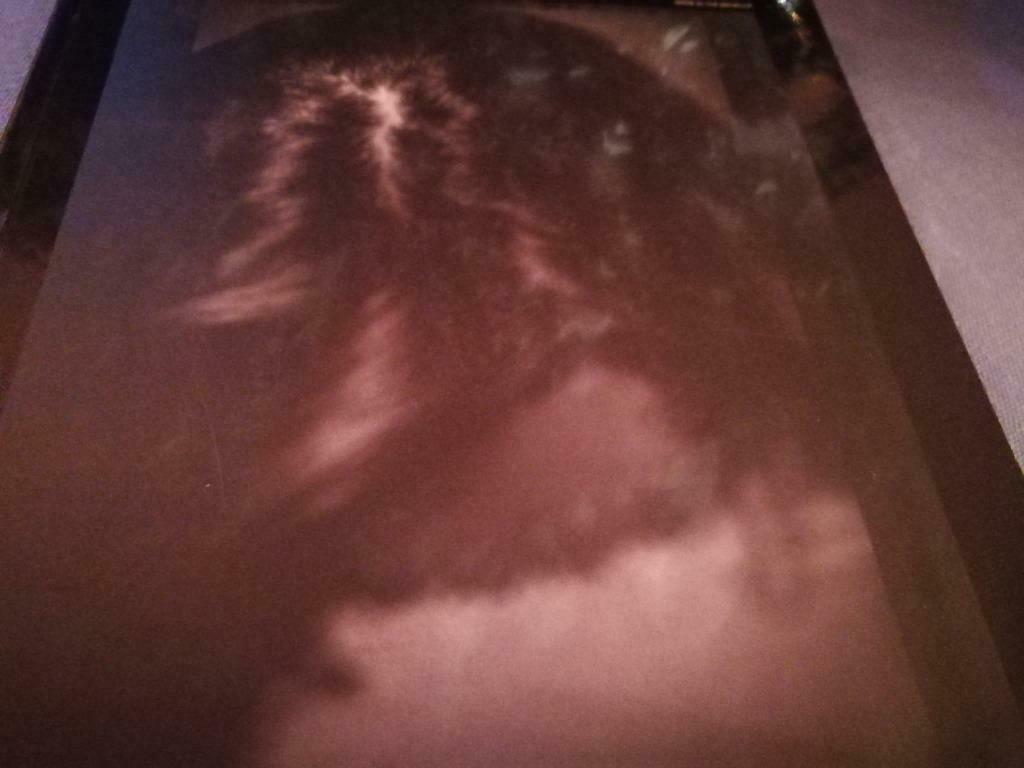 Dirk Braeckman photographs 170pag, Boeken, Ophalen of Verzenden, Zo goed als nieuw, Fotografen