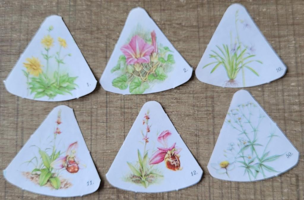 6 mini prentjes: bloemen en planten (Kraft smeerkaas), Collections, Enlèvement ou Envoi, Comme neuf, Nature, Gravure