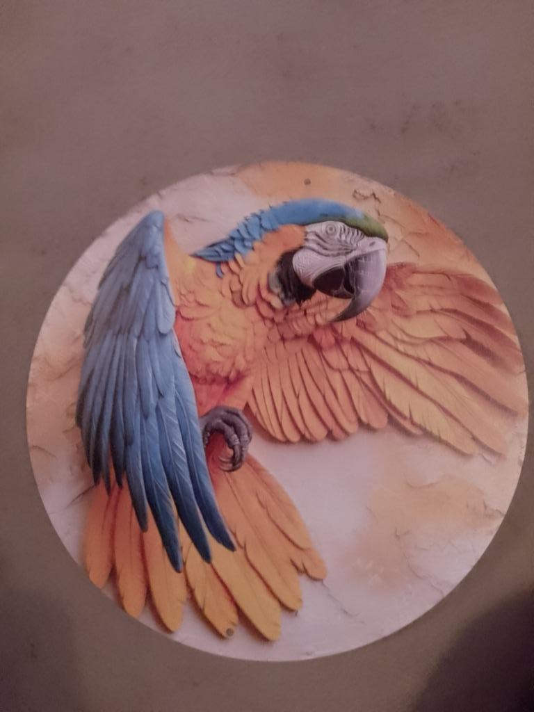 Metalen plaat blauwgele ara
