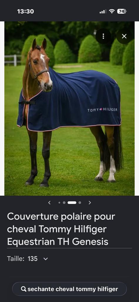Polaire Tommy Hilfiger pour cheval – attache à clip, Enlèvement, Utilisé, Couverture