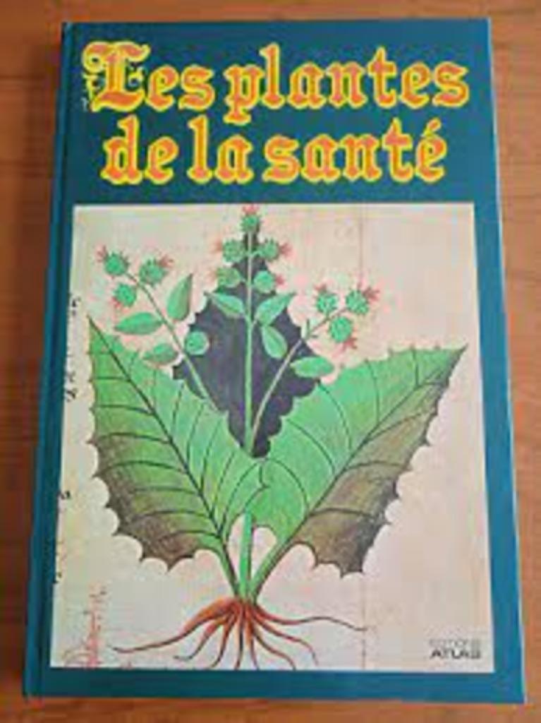 Les plantes de la sante|Gigliola Magrini, Livres, Enlèvement ou Envoi, Comme neuf, Zie beschrijving