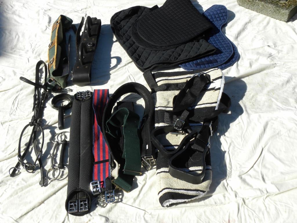 Divers articles d'équitation Neufs, Enlèvement ou Envoi, Dressage