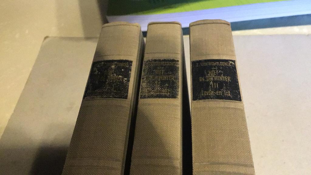 Niet in de winter (f3), Boeken, Gelezen, België, Ophalen of Verzenden, Emiel van hemeldonck