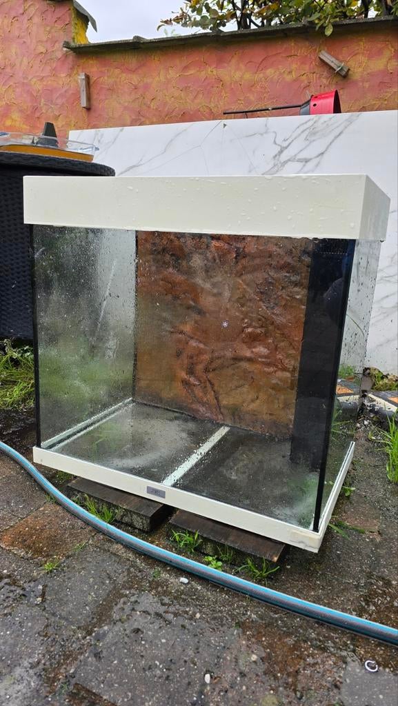 Juwel Lido 120l, Animaux & Accessoires, Poissons | Aquariums & Accessoires, Enlèvement
