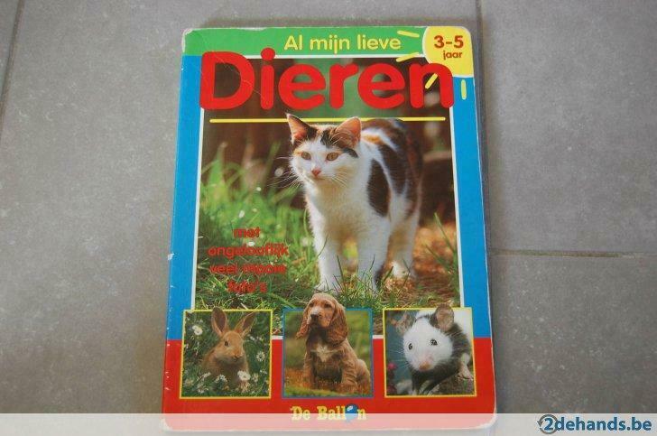 Kartonboekjes kleuters-dieren/vormen/cijfers/kleuren/woorden, Enlèvement ou Envoi, Utilisé, 0 à 6 mois