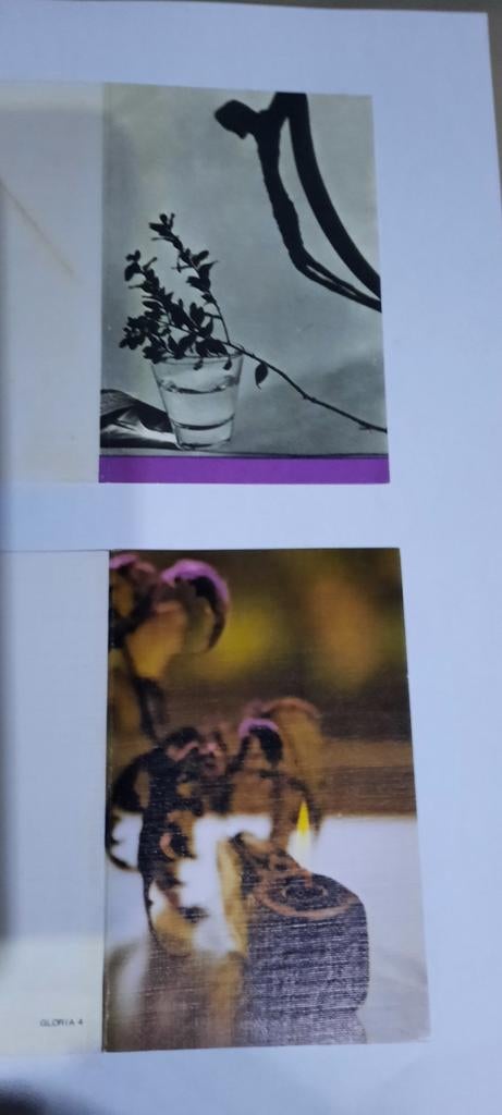 Bid en rouwprentjes (3), Verzamelen, Ophalen of Verzenden
