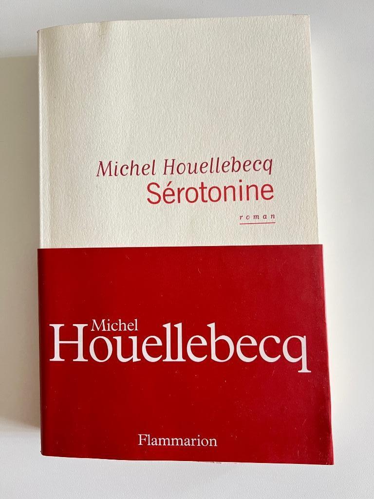 Livre Sérotonine de Michel Houellebecq, Michel Houellebecq, Enlèvement ou Envoi, Utilisé, Europe autre