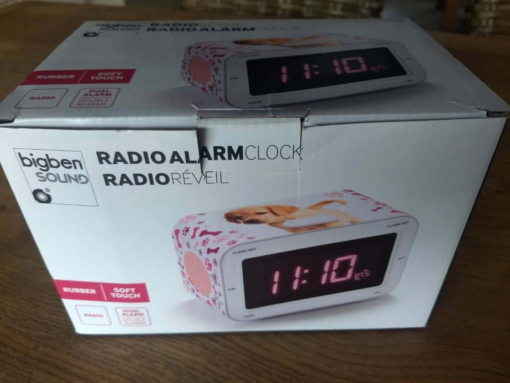 Klokradio met protectie, Diversen, Ophalen of Verzenden, Zo goed als nieuw