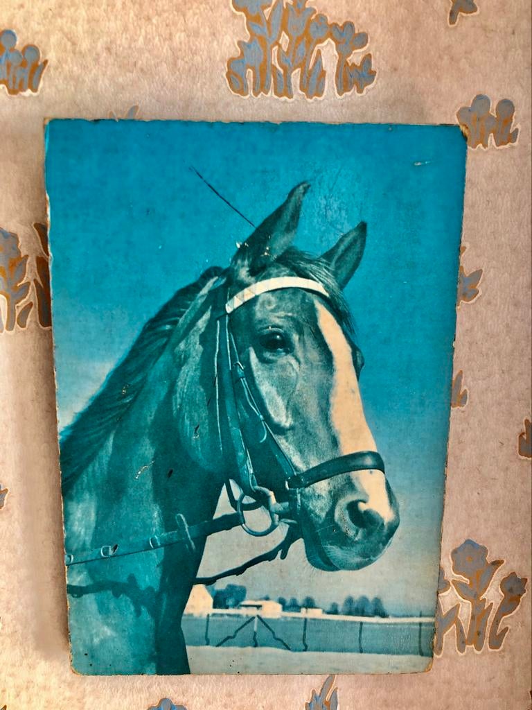 Paard op plankje, Enlèvement