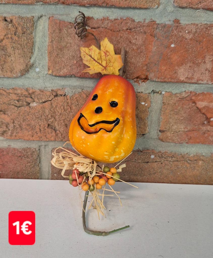 Décoration d'Halloween #1 à moins de 5 €, Divers, Enlèvement, Comme neuf