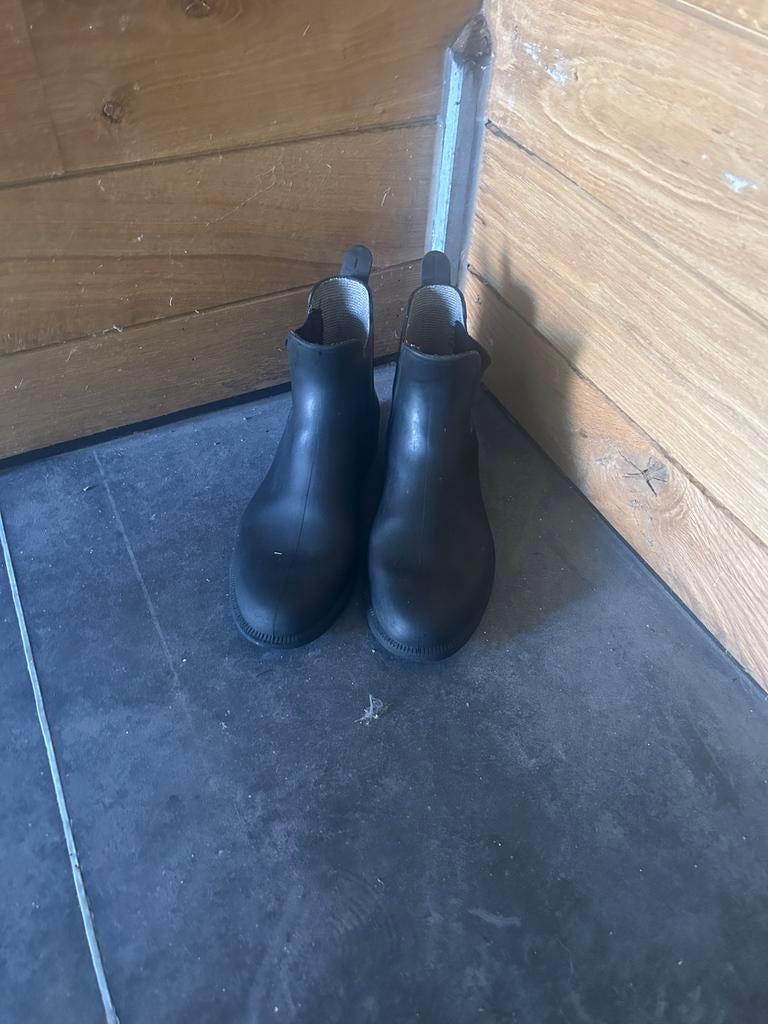Paardrijbotten maat 40, Dieren en Toebehoren, Ophalen, Zo goed als nieuw, Dames, Schoeisel