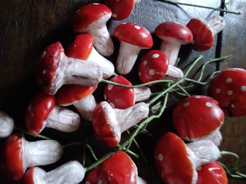 Set de champignons. 32 pièces, Envoi, Utilisé