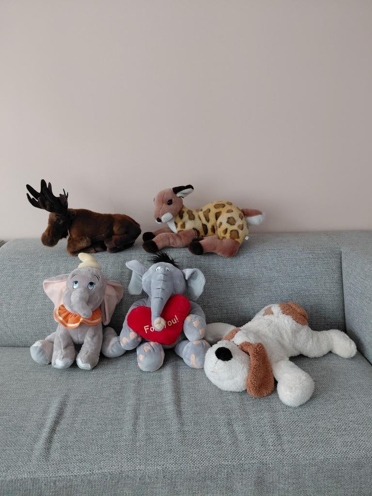 Grote, propere knuffels, Ophalen of Verzenden