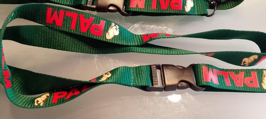 Lanyard palm, Ophalen of Verzenden, Zo goed als nieuw, Palm