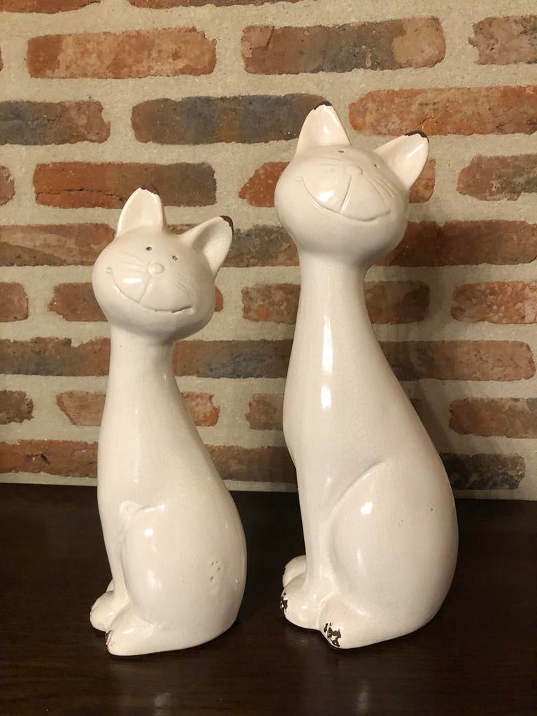 Beelden katten, Ophalen