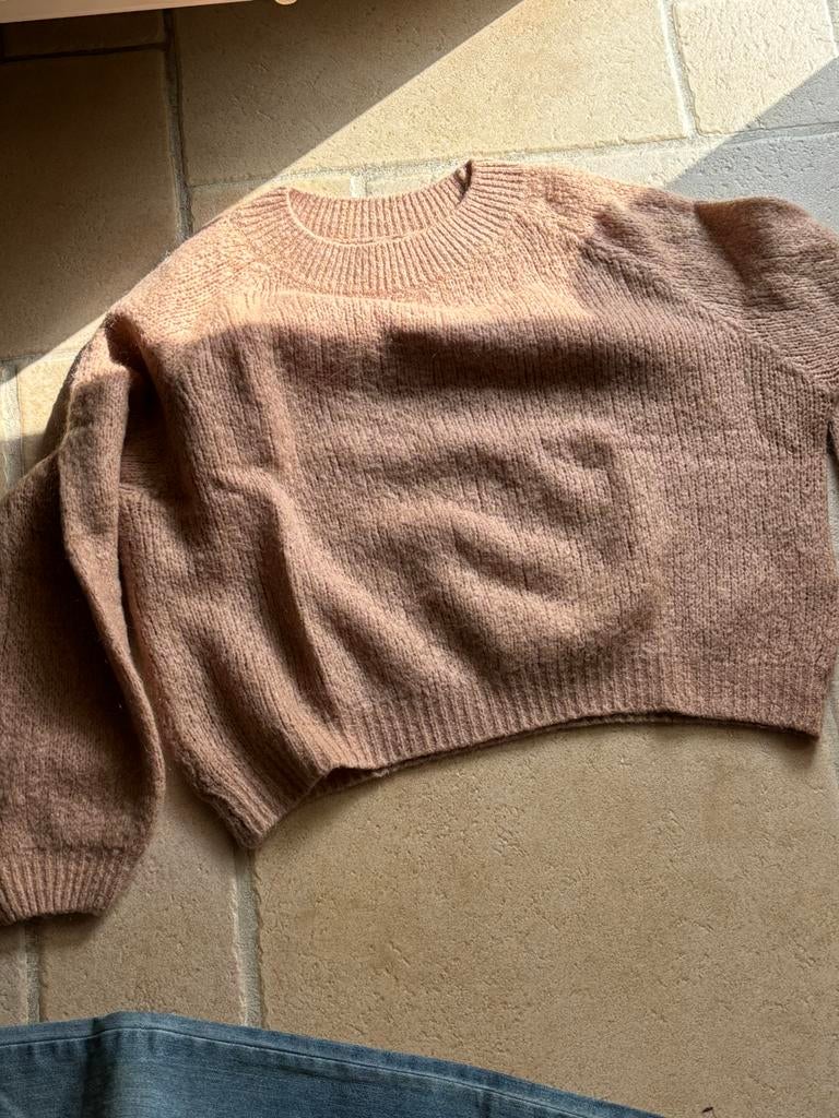 Beige trui small black rose, Kleding | Dames, Ophalen