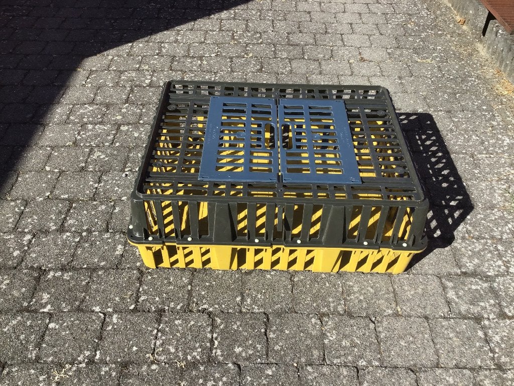 Grote pluimveekorf, Dieren en Toebehoren, Pluimvee | Toebehoren, Ophalen, Gebruikt, Overige typen