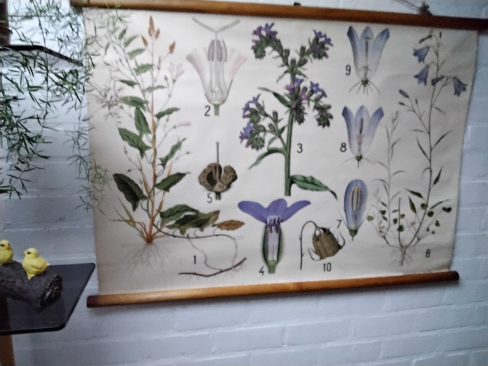 lot   van   10    schoolkaarten, Ophalen of Verzenden