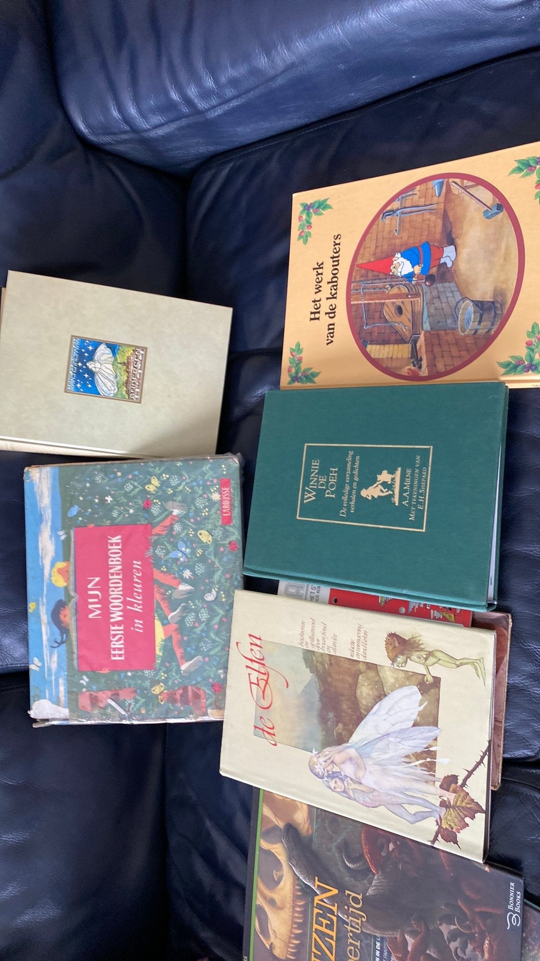 Kinder boeken, Enlèvement, Comme neuf