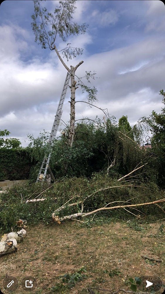 élagage et abattage tout type d'arbres, Tuin en Terras, Ophalen of Verzenden