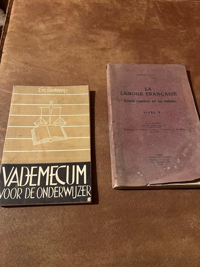 Vintage schoolboeken diverse onderwerpen, Antiek en Kunst, Ophalen of Verzenden