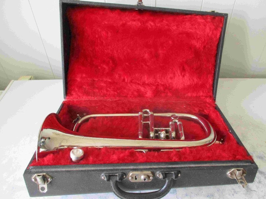 Bugel Hudson Spécial, Musique & Instruments, Instruments à vent | Cors, Enlèvement ou Envoi, Comme neuf, Cor en si bémol, Avec valise
