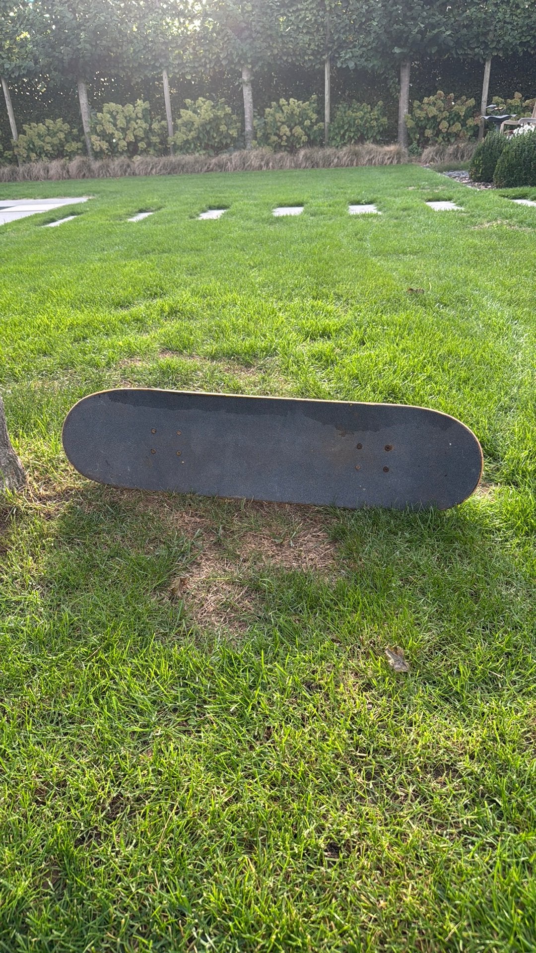 Tony Hawk-skateboard, Envoi, Comme neuf, Skateboard