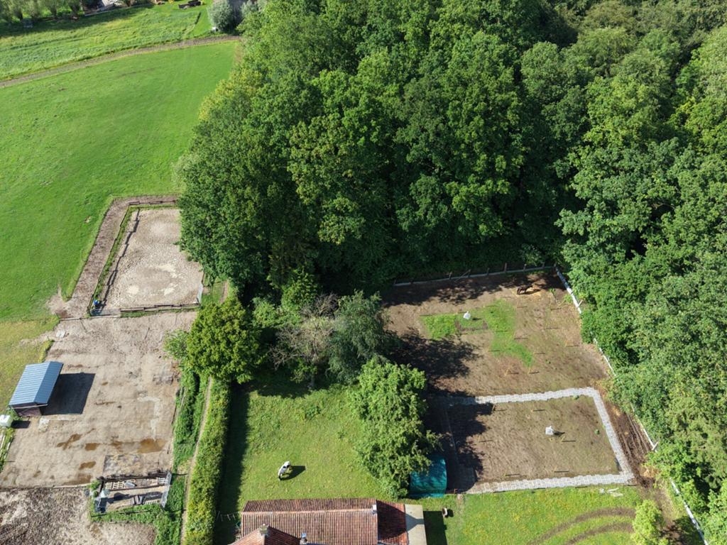 Plaats op browsing paddock, Dieren en Toebehoren, Stalling en Weidegang