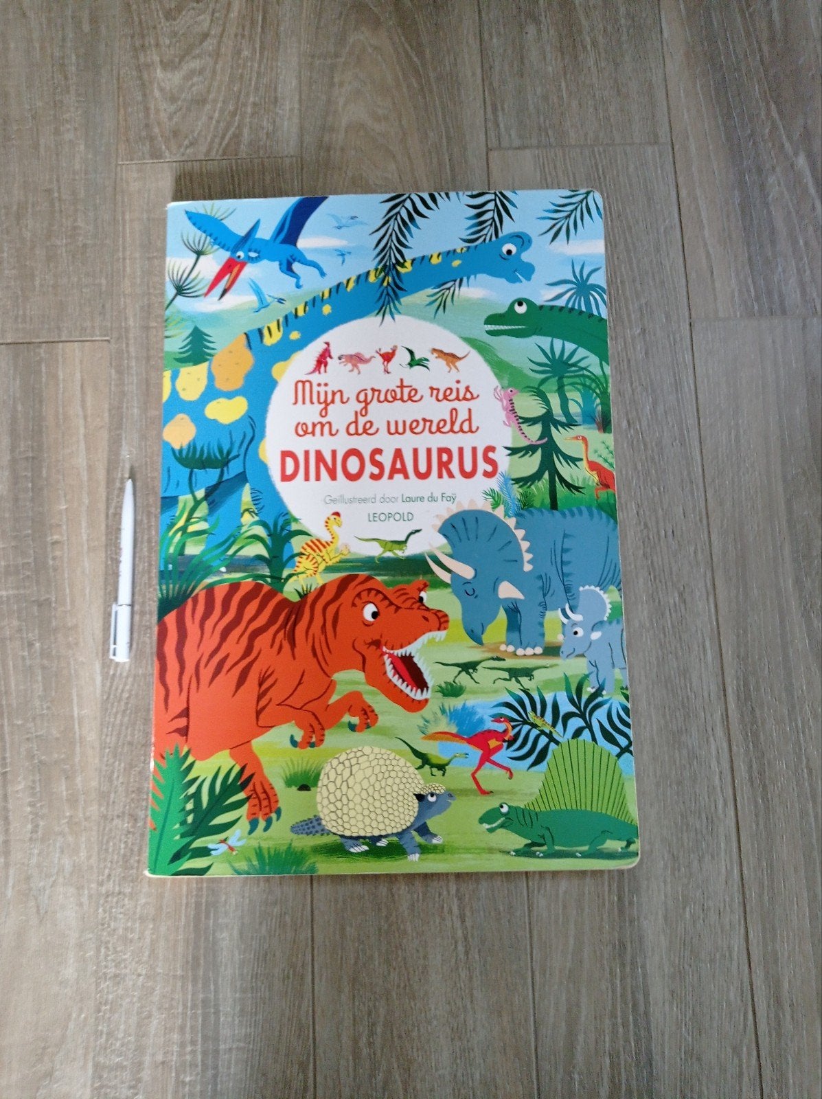 Heel groot prachtig geïllustreerd dino boek, Ophalen, Laure Du Faÿ