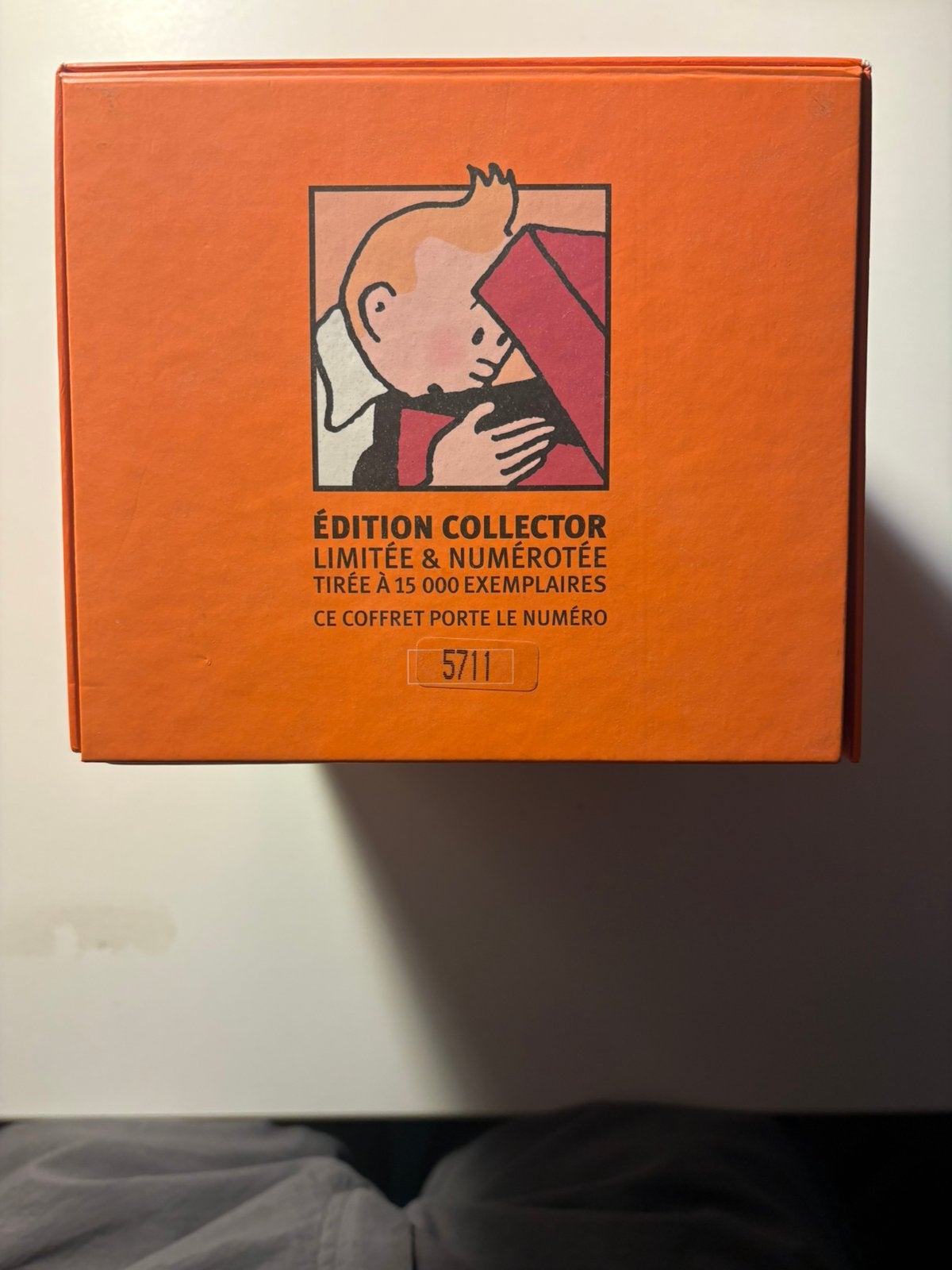 Coffret intégrale de la série d’animation TINTIN 21 DVD, Enlèvement, Comme neuf, Animation, Édition spéciale