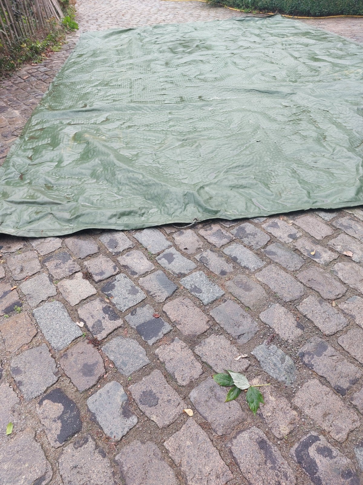 bache.te koop., Ophalen of Verzenden, Gebruikt