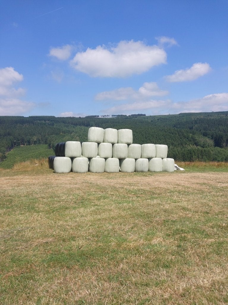 Foin, Enlèvement