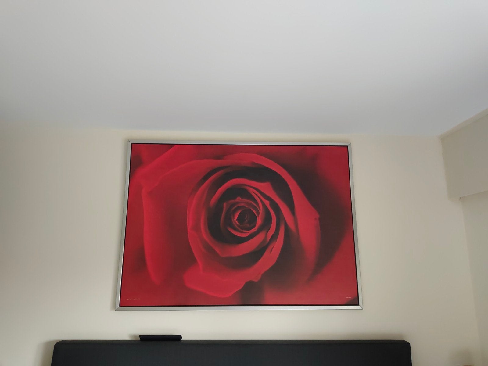 Canvas met roos, 140x100cm, Ophalen