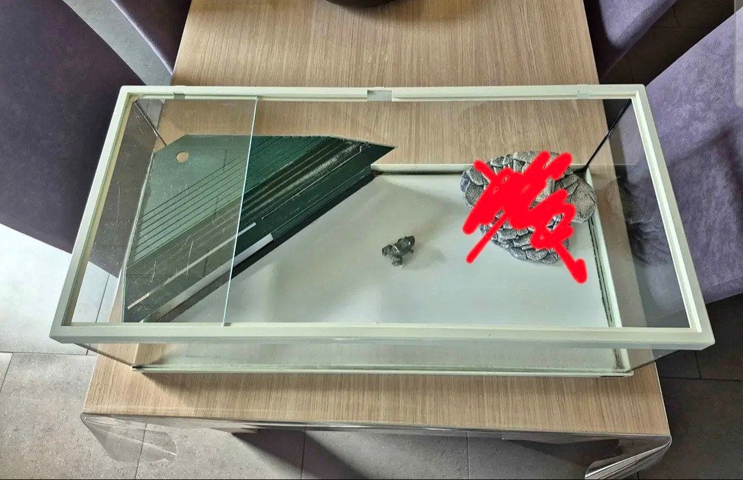 Aquarium ou terrarium, Enlèvement