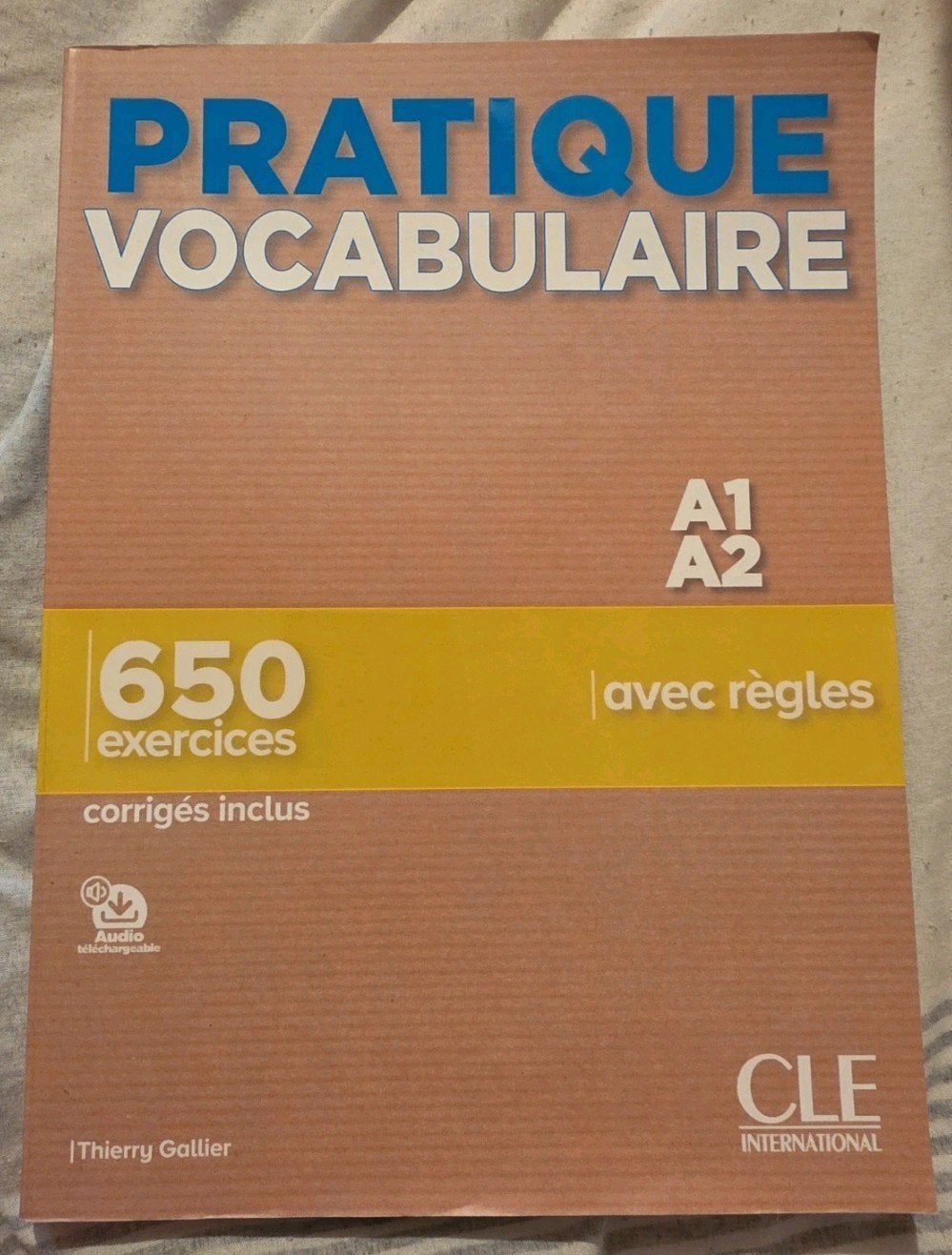 Thierry Gallier - Pratique vocabulaire A1 en A2, Boeken, Woordenboeken, Verzenden, Thierry Gallier, Frans