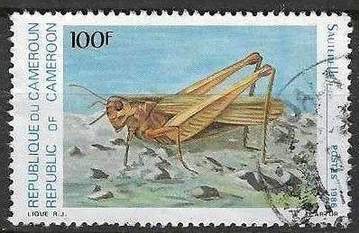 Cameroun 1986 - Yvert 784 - Insectes - Criquet (ST), Envoi, Affranchi