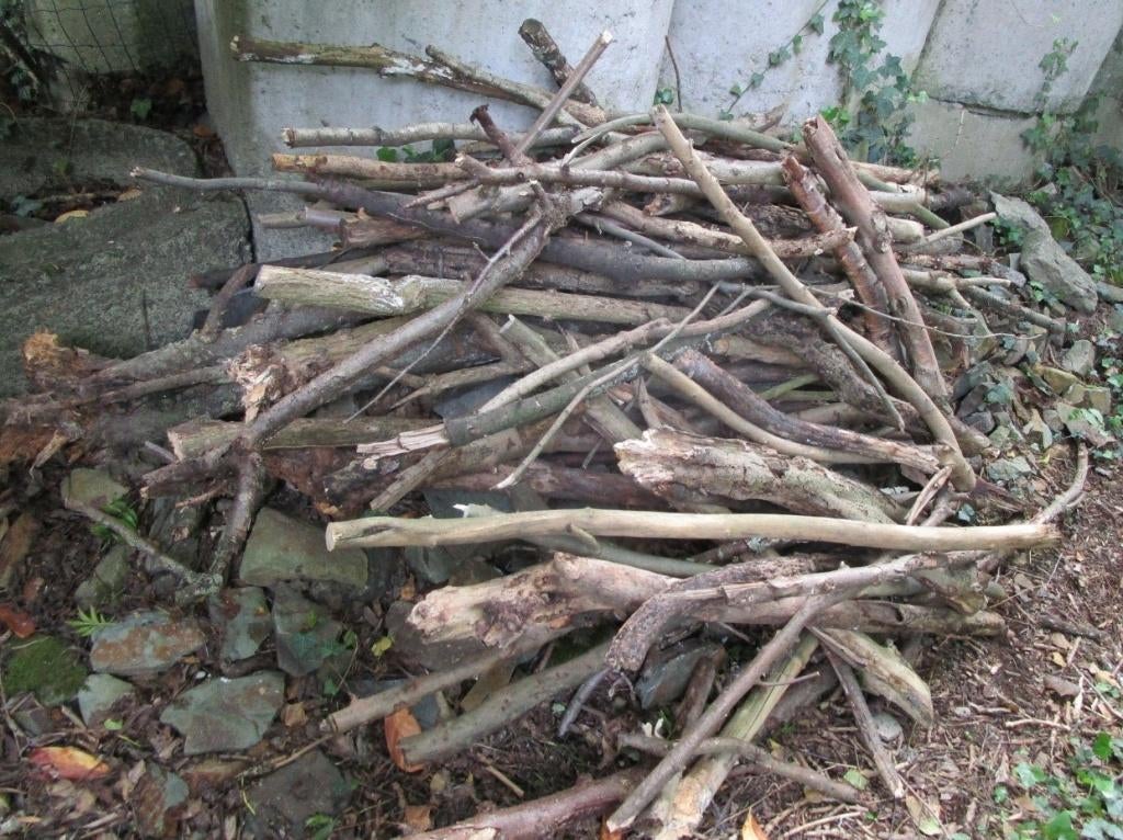 GRATIS OPHALEN - Hout / sprokkelhout, 3 tot 6 m³, Ophalen, Overige houtsoorten, Takken