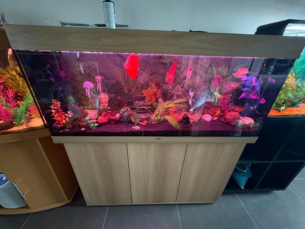Aquarium Juwel 240l, Dieren en Toebehoren, Ophalen