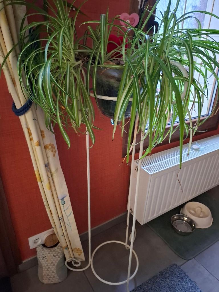 Support pour plante en fer forgé  blanc, Enlèvement, Utilisé