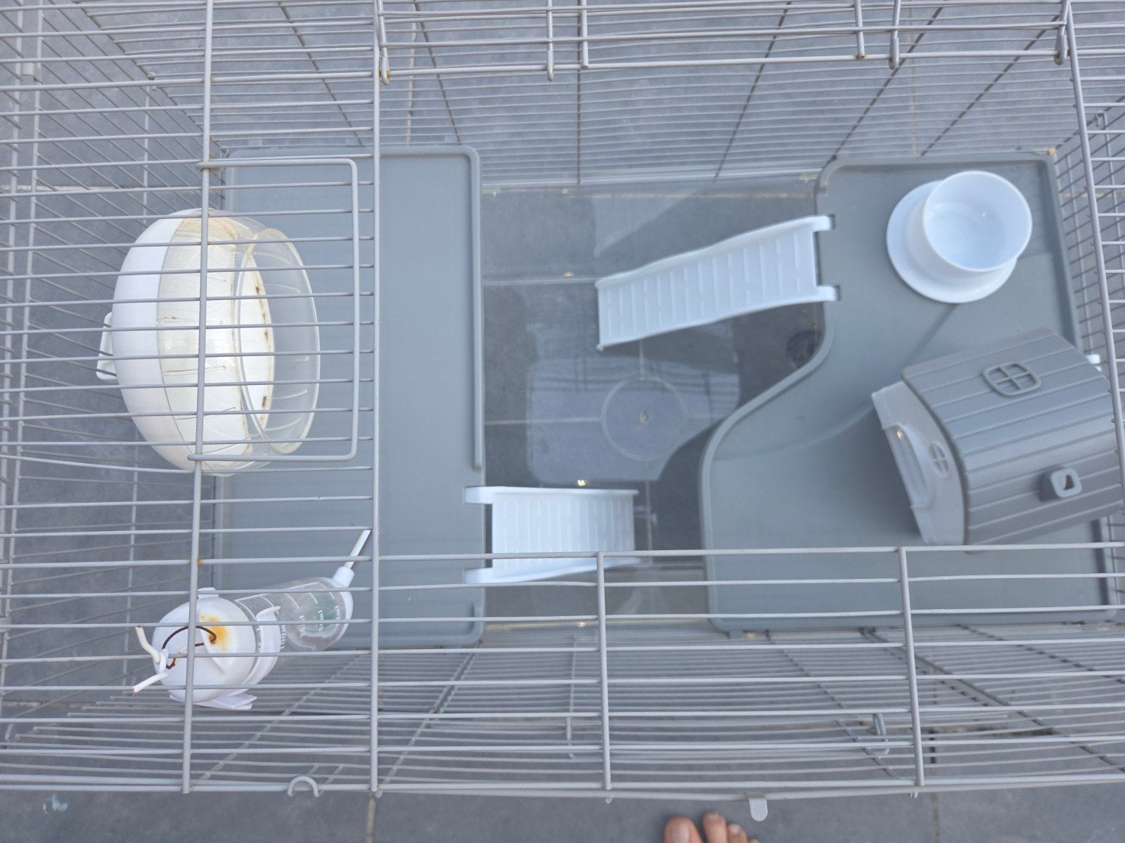 Hamsterkooi zo goed als nieuw., Ophalen