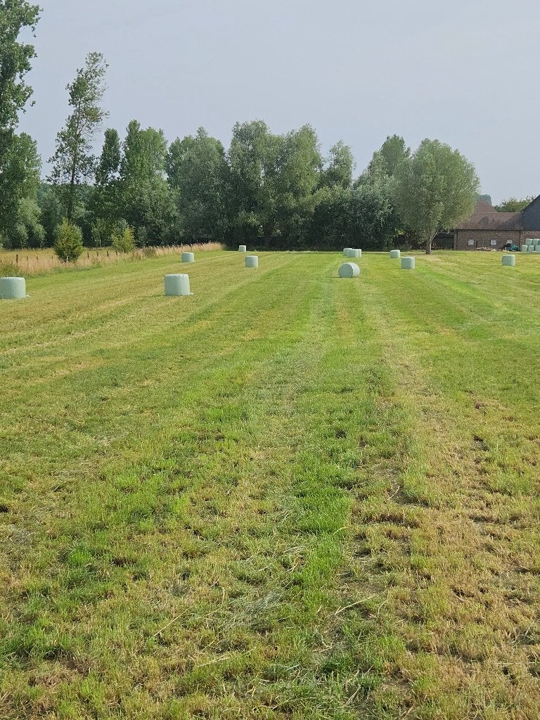 Midibalen voordroog, Zakelijke goederen, Landbouw | Veevoer, Ophalen