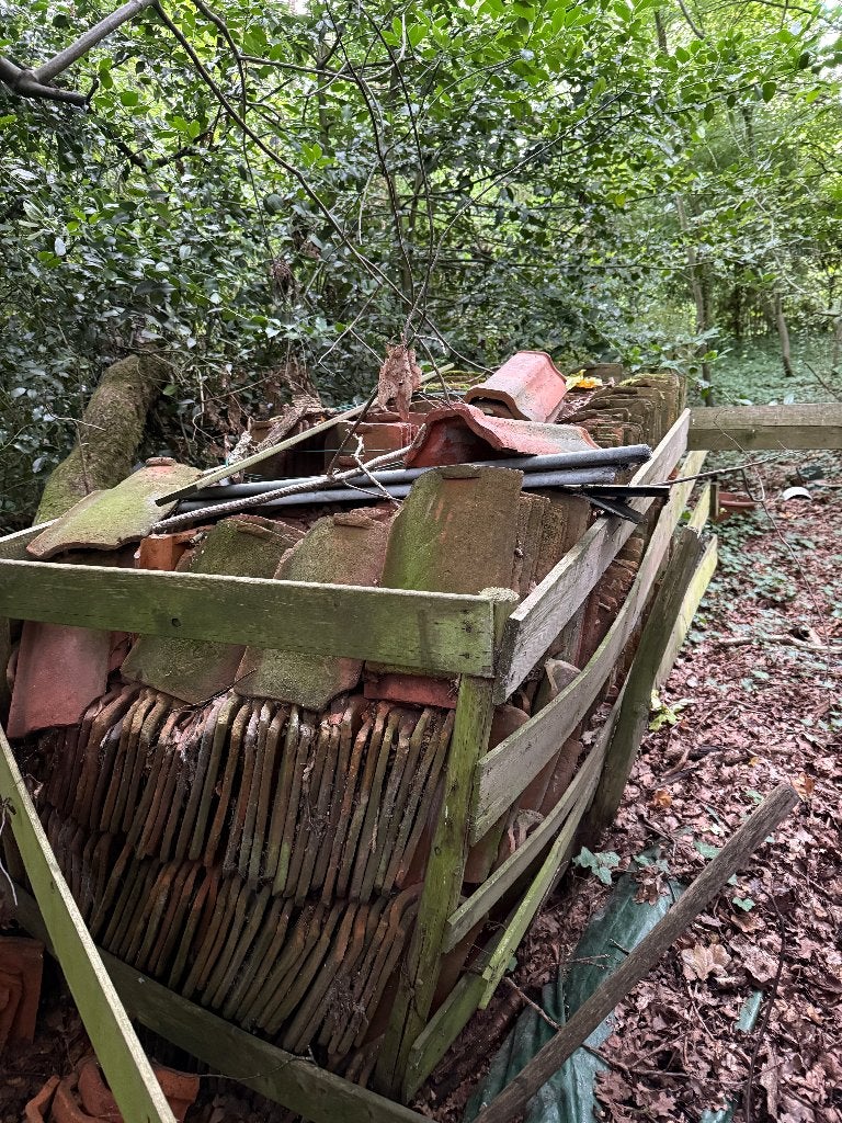 Boomse pannen, Ophalen, Rood, Steen of Klei, Dakpannen