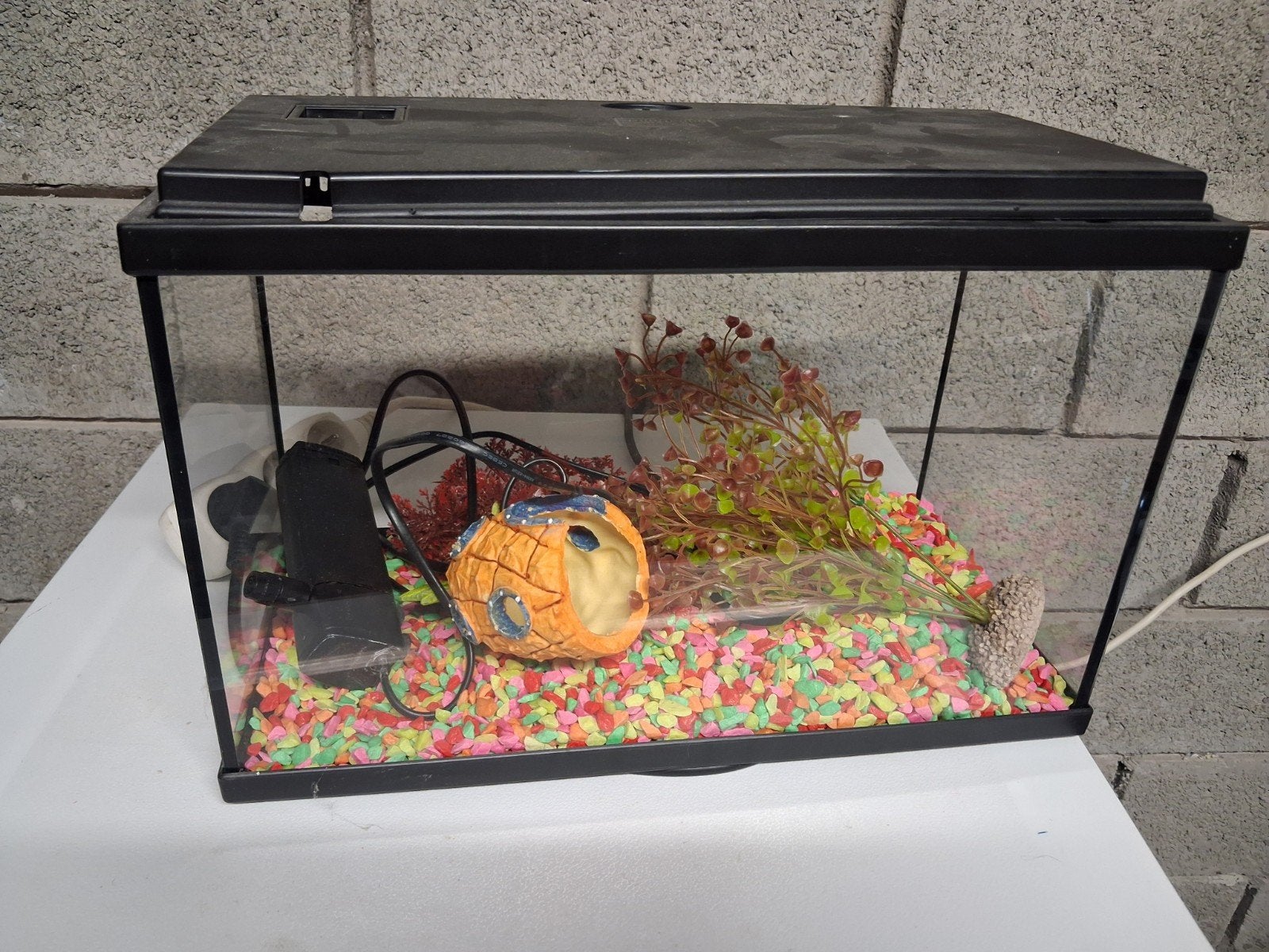 Aquarium poisson rouge, Animaux & Accessoires, Accessoires inclus