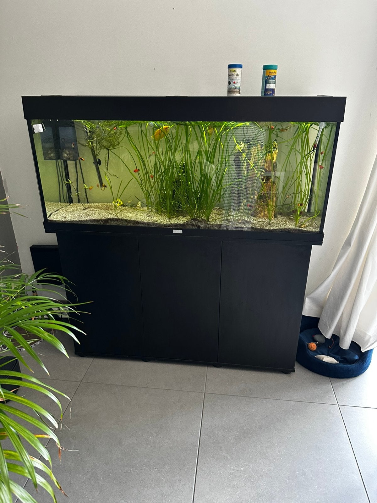 Juwel aquarium 350 L, Ophalen, Inclusief vissen, Zo goed als nieuw, Juwel