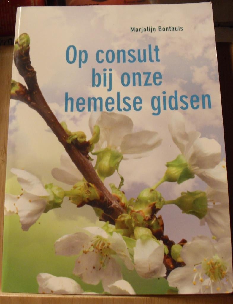 Op consult bij onze hemelse gidsen, Marjolijn Bonthuis, Boeken, Esoterie en Spiritualiteit, Ophalen of Verzenden, Zo goed als nieuw